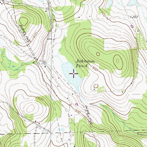Topographic Map of Johnson Pond, PA