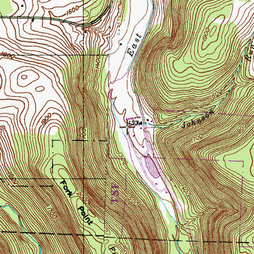 Topographic Map of Johnson Run, PA