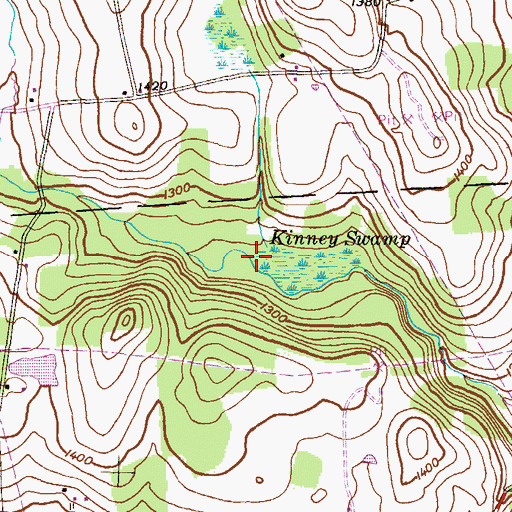 Topographic Map of Kinney Swamp, PA