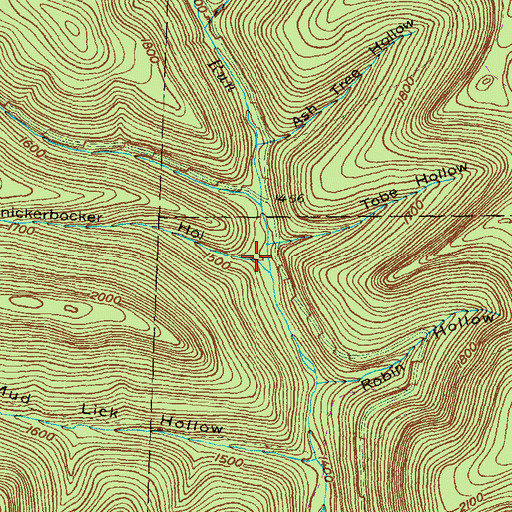 Topographic Map of Knickerbocker Hollow, PA
