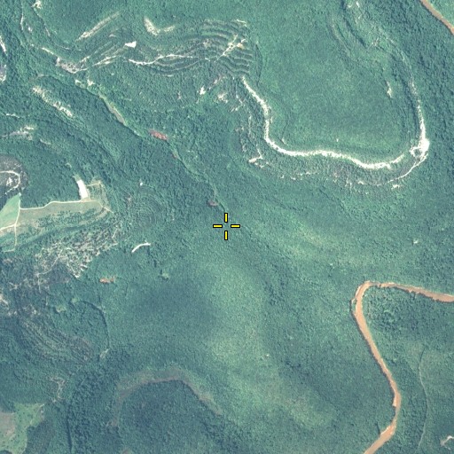 Aerial/Satellite Image of Knox Run, PA