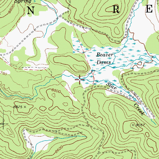 Topographic Map of Star Creek, AZ