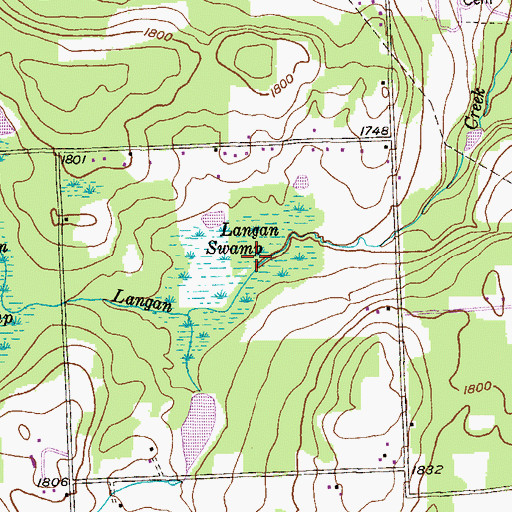 Topographic Map of Langan Swamp, PA