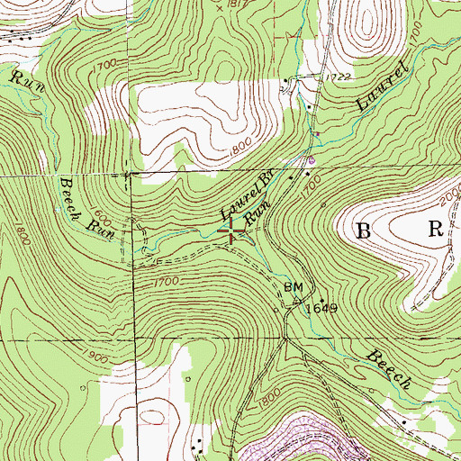Topographic Map of Laurel Branch Run, PA