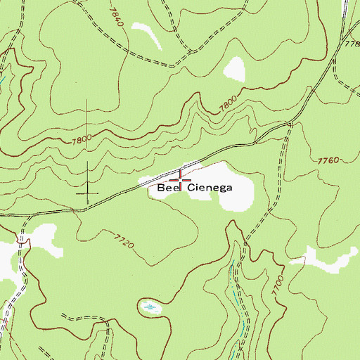 Topographic Map of Bee Cienega, AZ