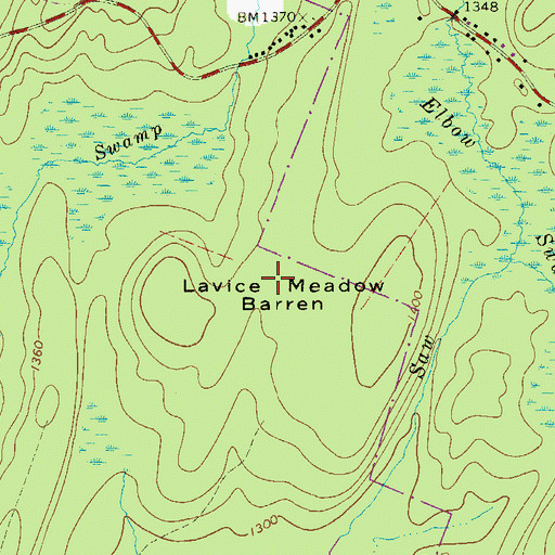 Topographic Map of Lavice Meadow Barren, PA