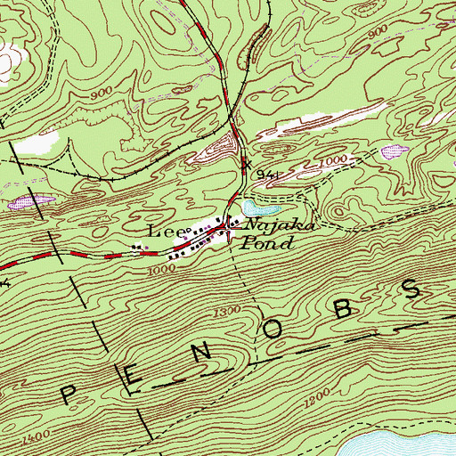 Topographic Map of Lee, PA