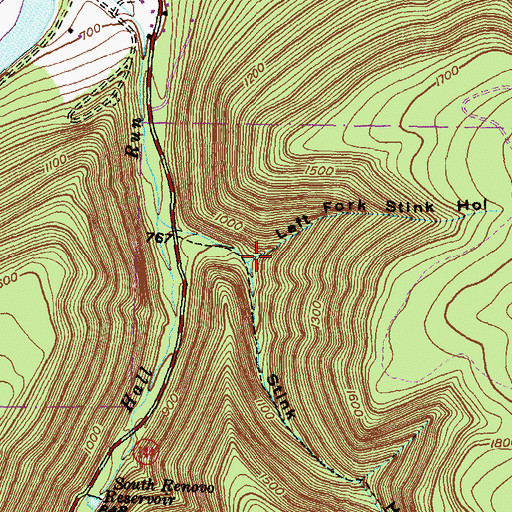 Topographic Map of Left Fork Stink Hollow, PA