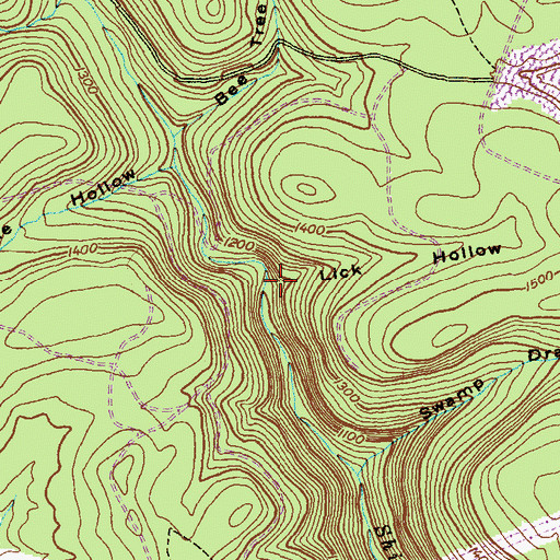 Topographic Map of Lick Hollow, PA