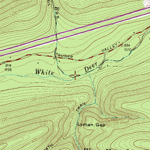 Topographic Map of Lick Run, PA