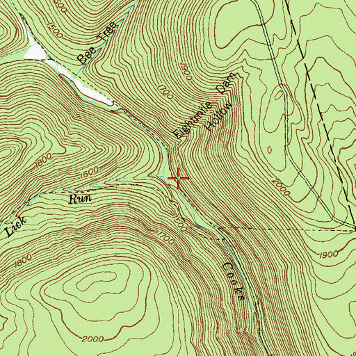 Topographic Map of Lick Run, PA