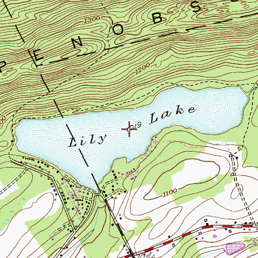 Topographic Map of Lily Lake, PA