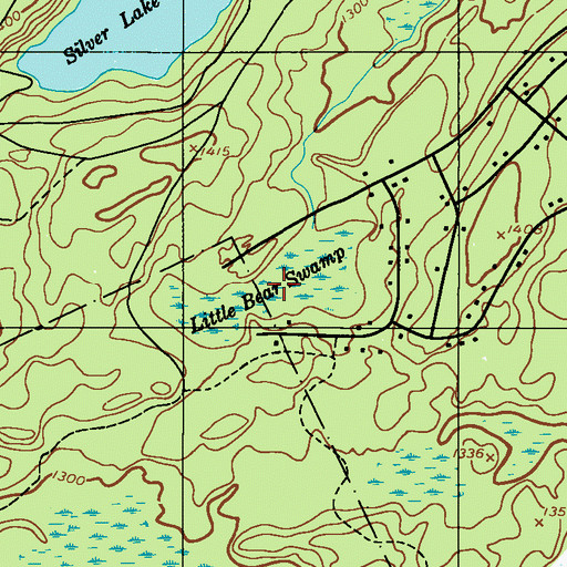 Topographic Map of Little Bear Swamp, PA