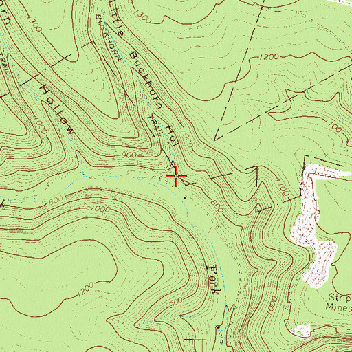 Topographic Map of Little Buckhorn Hollow, PA