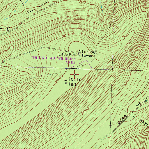Topographic Map of Little Flat, PA