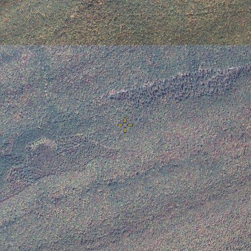 Aerial/Satellite Image of Little Mountain, PA