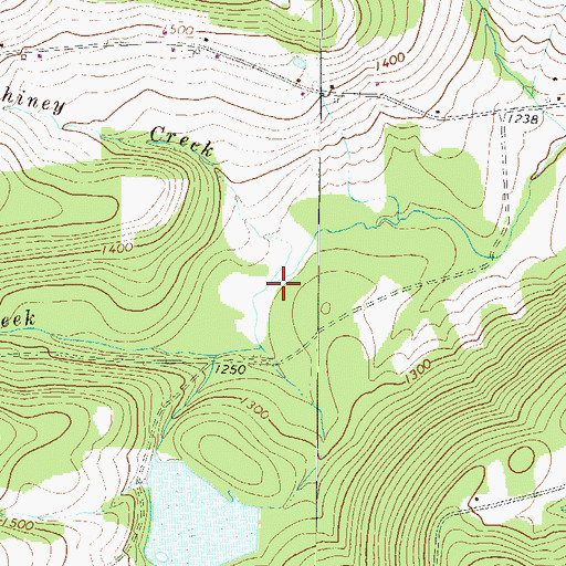 Topographic Map of Little Rhiney Creek, PA