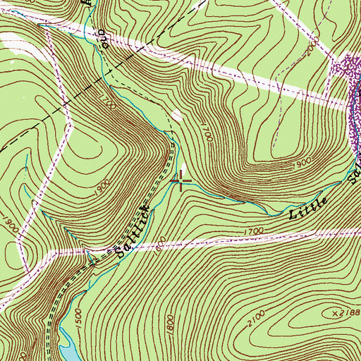 Topographic Map of Little Saltlick Run, PA