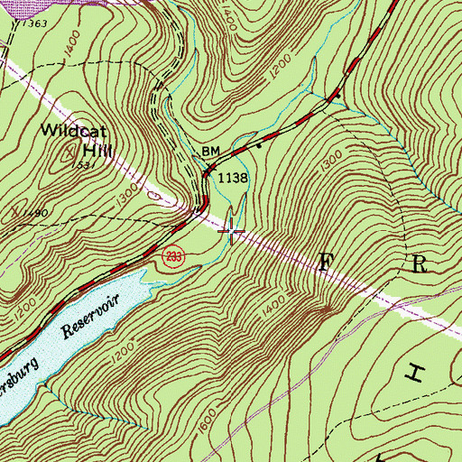 Topographic Map of Long Pine Run, PA