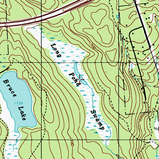 Topographic Map of Long Pond Swamp, PA
