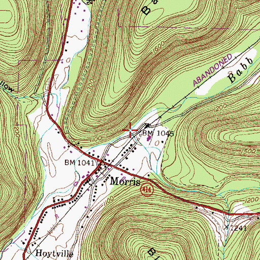 Topographic Map of Long Run, PA