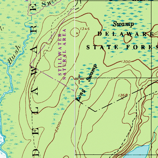 Topographic Map of Long Swamp, PA