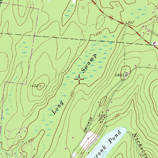 Topographic Map of Long Swamp, PA