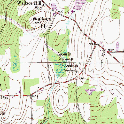 Topographic Map of Loomis Swamp, PA