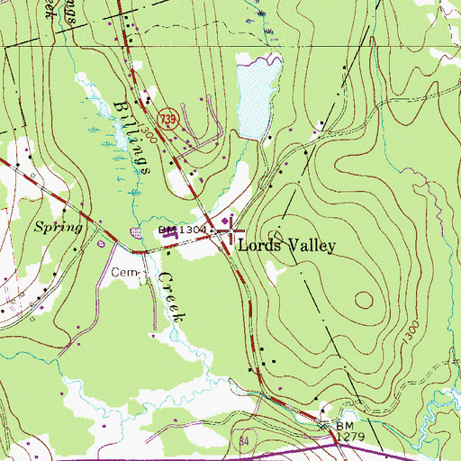 Topographic Map of Lords Valley, PA