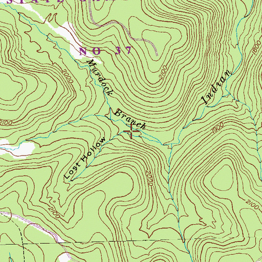 Topographic Map of Lost Hollow, PA