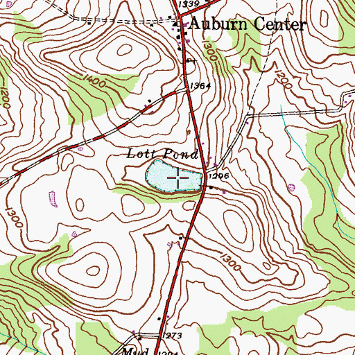 Topographic Map of Lott Pond, PA