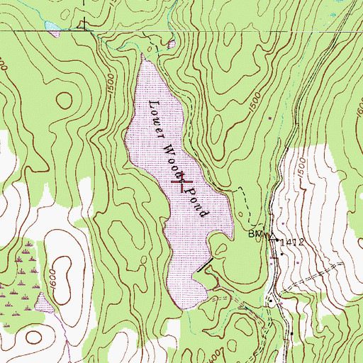 Topographic Map of Lower Woods Pond, PA