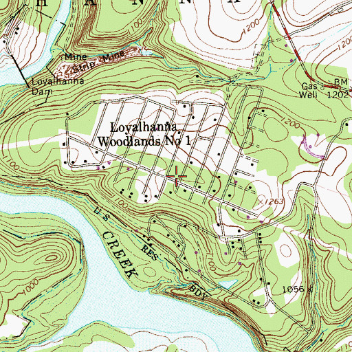 Topographic Map of Loyalhanna Woodlands Number 1, PA