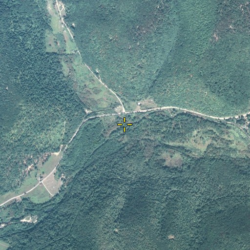 Aerial/Satellite Image of Lyman Run, PA