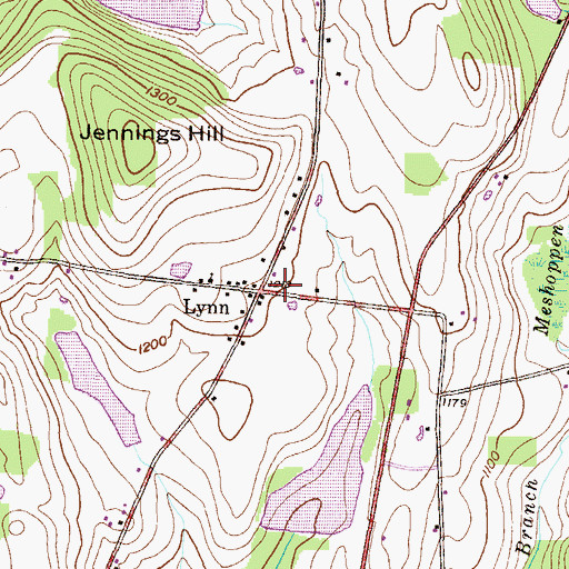 Topographic Map of Lynn, PA