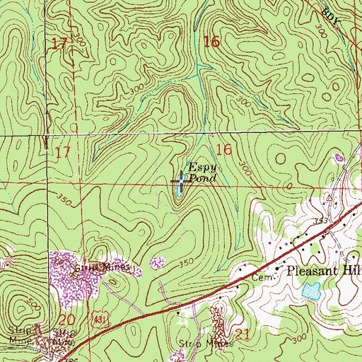Topographic Map of Espy Pond, AL