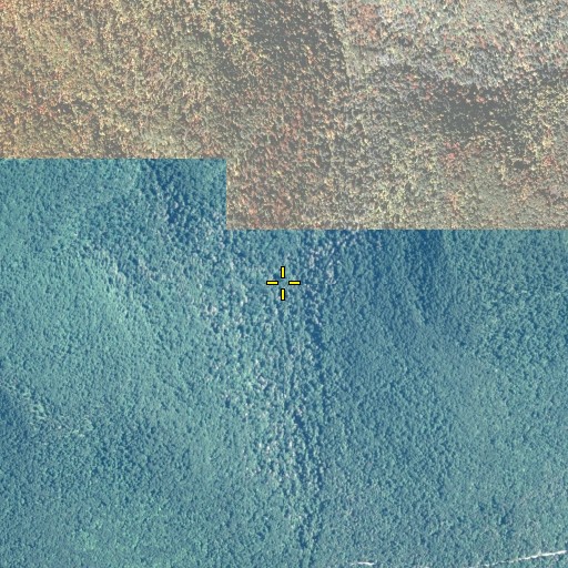 Aerial/Satellite Image of Maple Spring Brook, PA