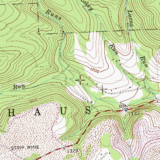 Topographic Map of Marks Run, PA