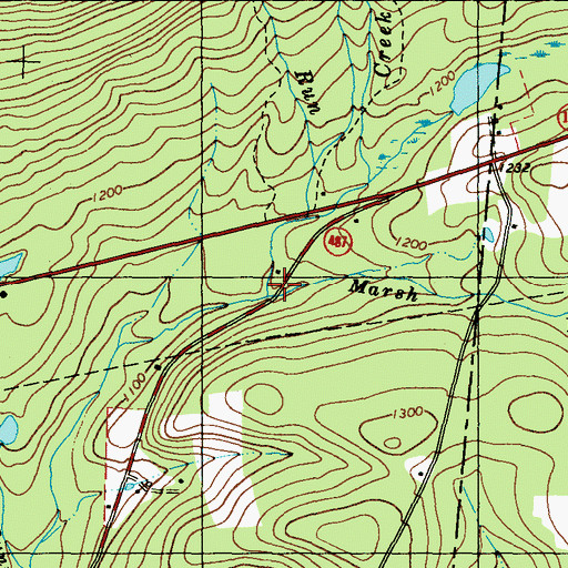Topographic Map of Marsh Run, PA