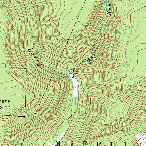Topographic Map of Marsh Run, PA