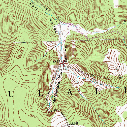 Topographic Map of McNamara Hollow, PA