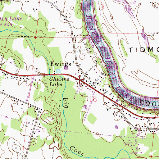 Topographic Map of Ewing, AL