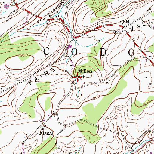 Topographic Map of Millers School, PA
