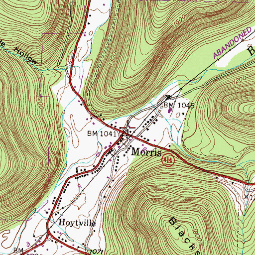 Topographic Map of Morris, PA