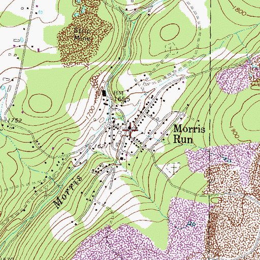 Topographic Map of Morris Run, PA
