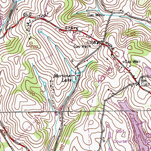 Topographic Map of Mortons Lake, PA