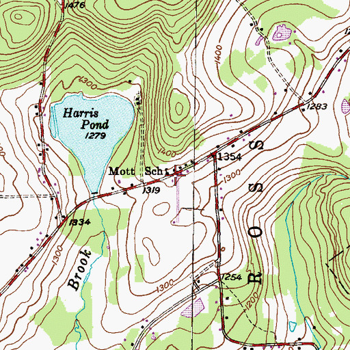 Topographic Map of Mott School, PA