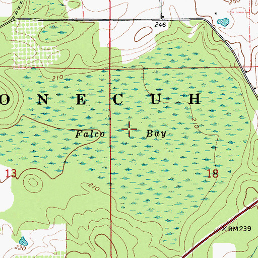 Topographic Map of Falco Bay, AL