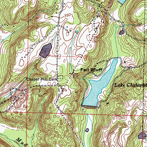 Topographic Map of Fall Bluff, AL