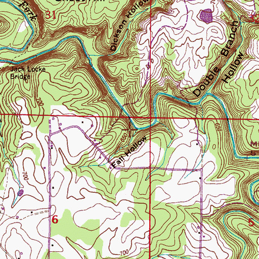 Topographic Map of Fall Hollow, AL